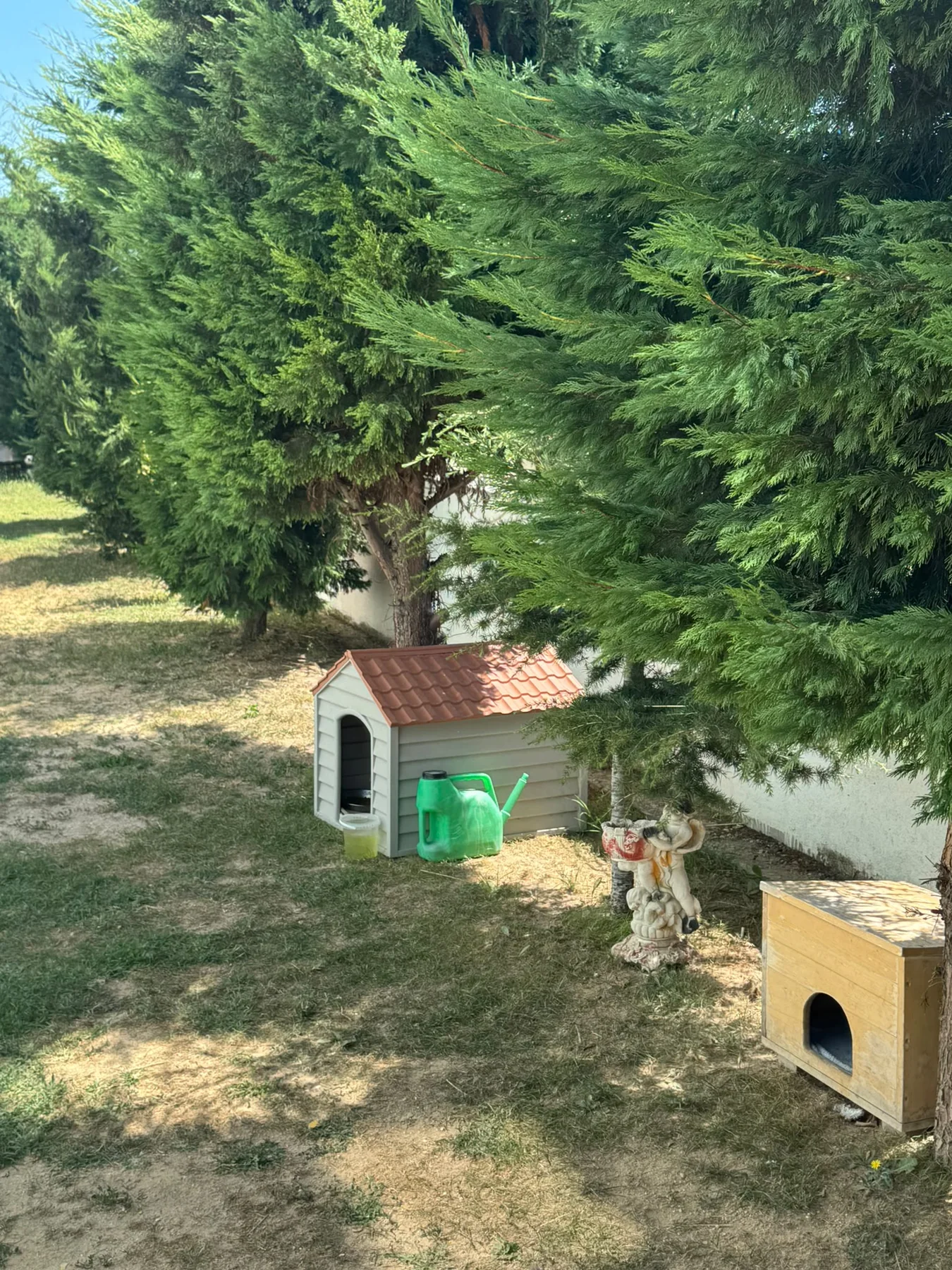 Özel Tekirdağ Huzurevi ağaçlıklı yeşil bahçe köşesi